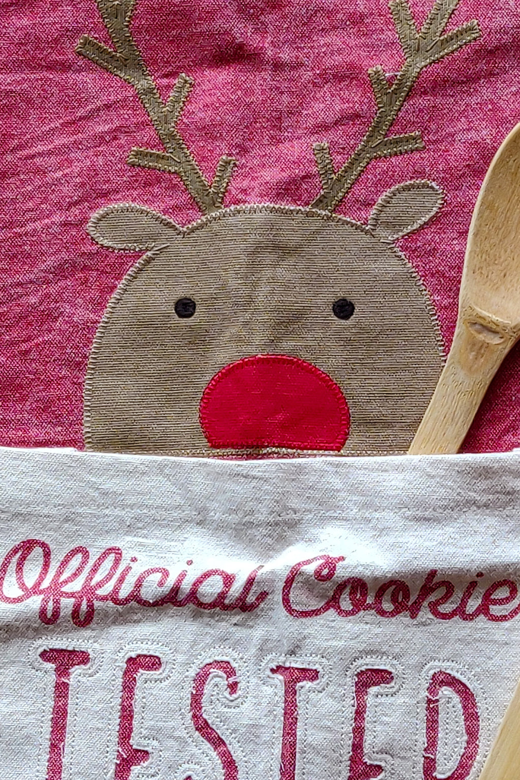 Official cookie tester kids apron